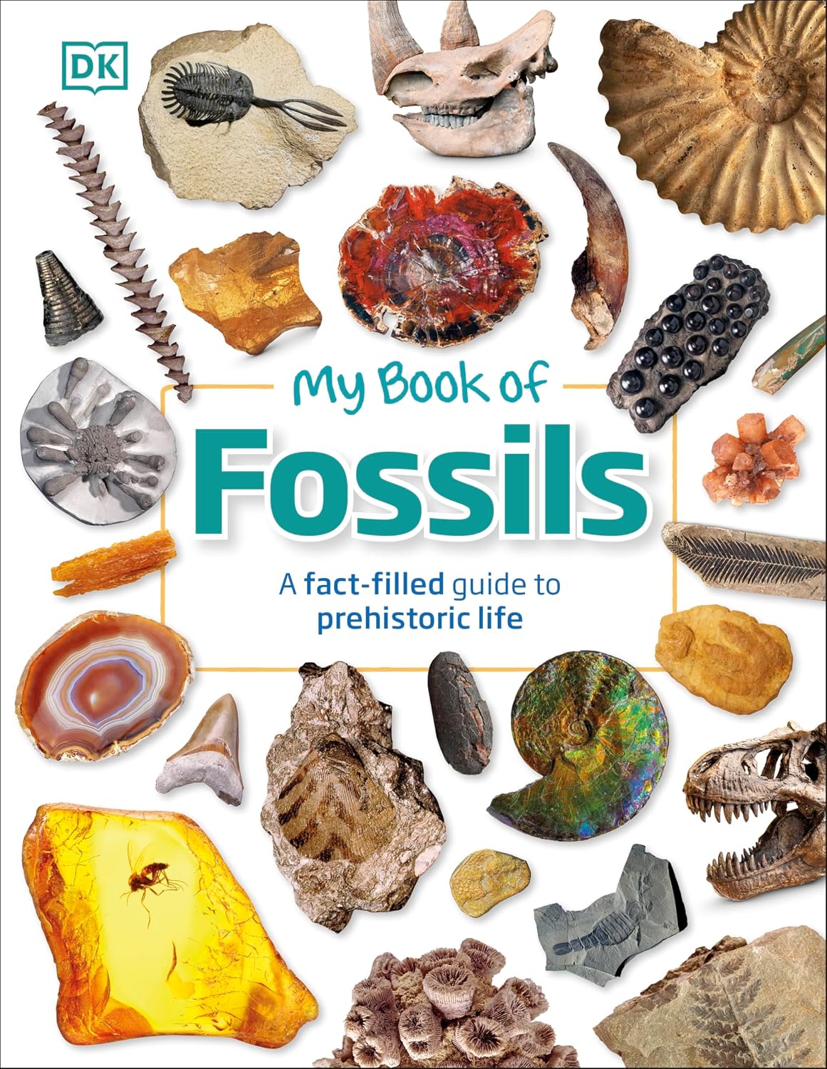 My Book of Fossils
