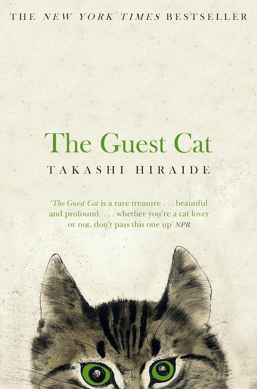 The Guest Cat (aziza's Secret Fairy Door, 329)