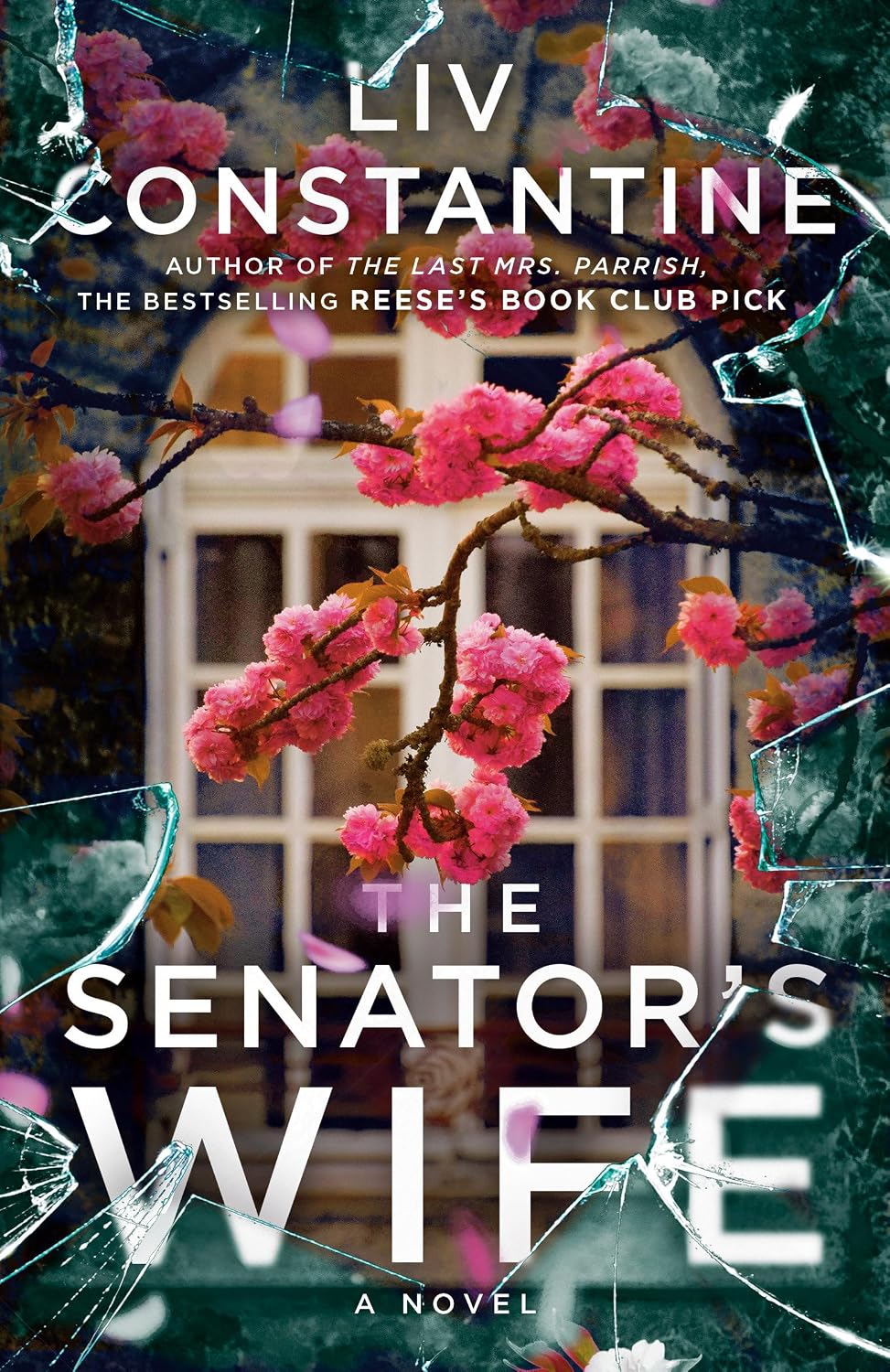 The Senator's Wife: a Novel