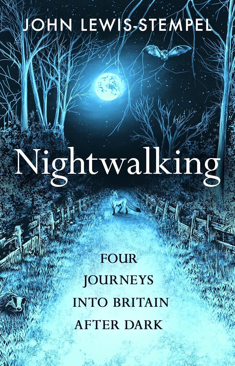 Nightwalking: Four Journeys Into Britain After Dark
