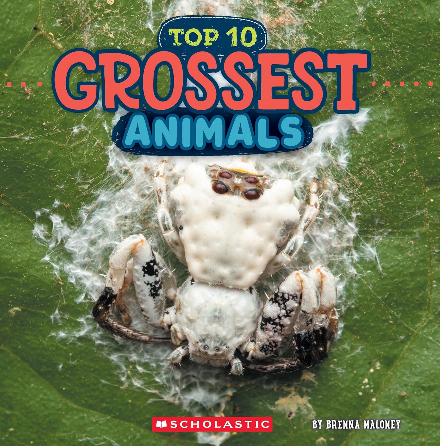 Grossest Animals (wild World: Top 10)
