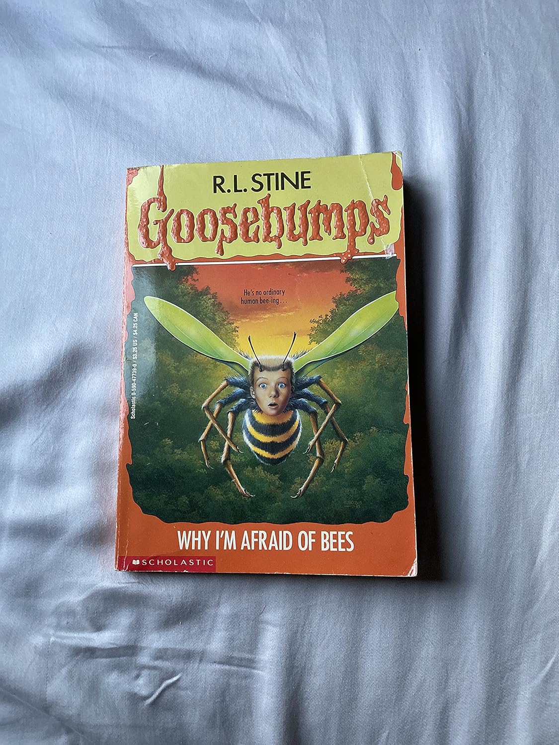 Gb #17 Why I M Afraid of Bees