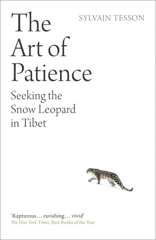The Art of Patience