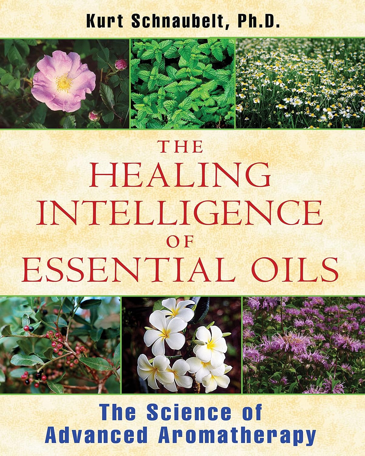 The healing intelligence of essential oils: the science of advanced aromatherapy